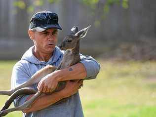 Wildlife carer Danny Williams and his kangaroo Esperance, who he rescued in Western Australia. Picture: Rob Williams