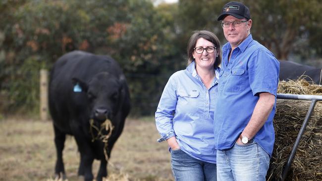 Winning ways: <span id="U703758208264sHG" style="font-family:'Guardian Sans Regular';font-weight:normal;font-style:normal;">Chris and Paula Riches have successfully moved into a mixed beef and sheep enterprise after leaving the dairy industry.</span><ld pattern=" "/><source>Picture: Yuri Kouzmi</source>n