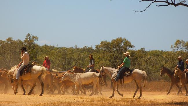 Mustering is all in a day’s work for Emma Salerno, when she’s not in the courtroom.