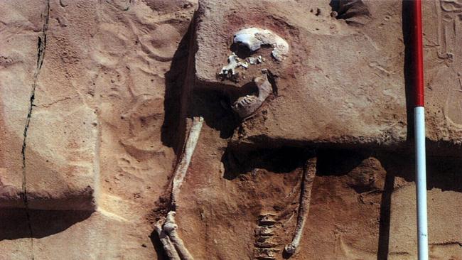 The skeleton of an aboriginal man which was found at Lake Mungo in 1974.