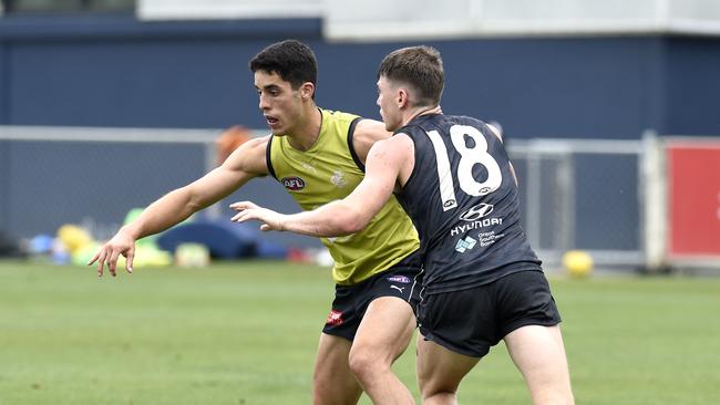 Adam Cerra and Sam Walsh go head-to-head. Picture: Andrew Henshaw