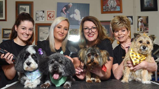 Mrs Wileman and her team of groomers, Tara Meneghini, Ashtyn Lorich-Beriman, and Gianna Fe Pra with dogs (L-R) Daisy Mae, Teddy Bear, Bear and Millie. Picture: Josie Hayden