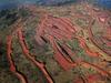 IFC leaving Simandou, says Rio