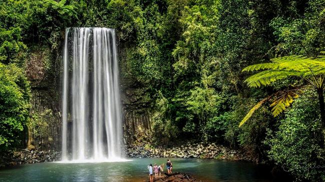 A man was injured at Millaa Millaa Falls earlier this year following a plunge from the top of the cliff. Picture: Angela Willemsen