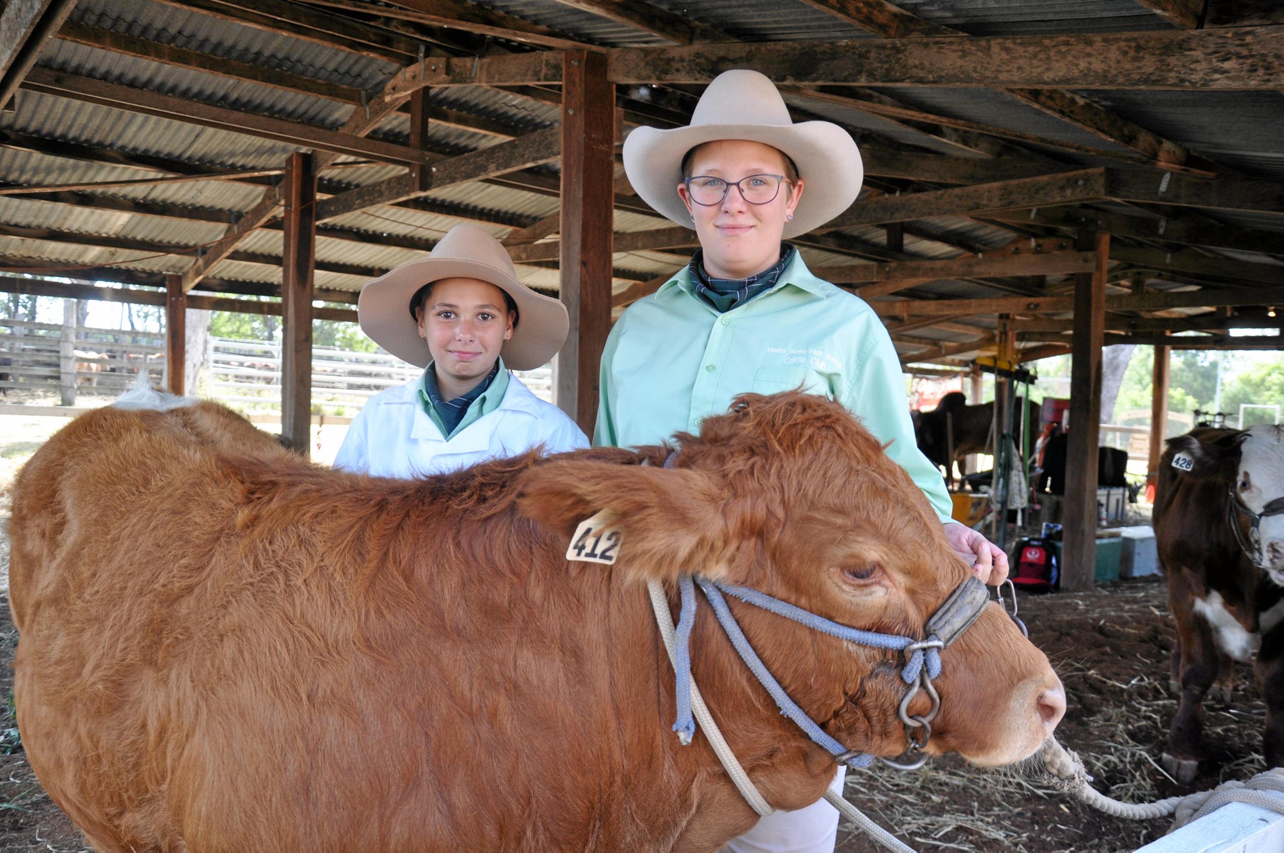 Cattle Club at Monto Show | The Courier Mail