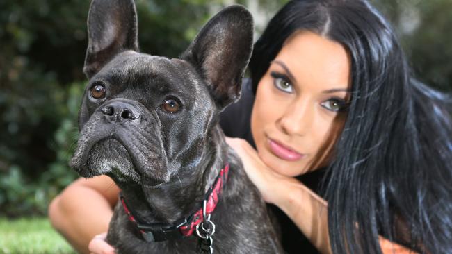 Deb Fox's dog, Baxter the three-year-old French Bulldog, ate a strawberry that had been stuffed with razor blades and thrown over her fence at Benowa. Picture Glenn Hampson.