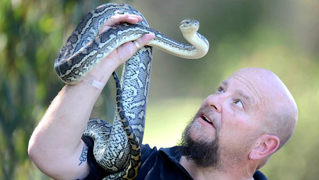 Pet Owners Warned As Warmer Weather Brings More Snakes Come Out Of ...