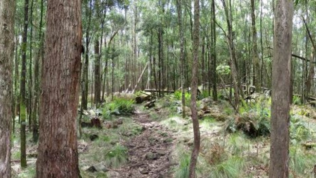 Macedon National Park. Picture: Supplied