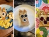Bluey fans are making Bingo toast and the results are varied