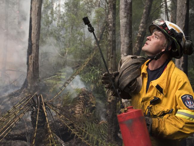 Tom Andrews, from Huonville volunteers, watches flames run up a tree in the Tahune area. Picture: WARREN FREY/TFS