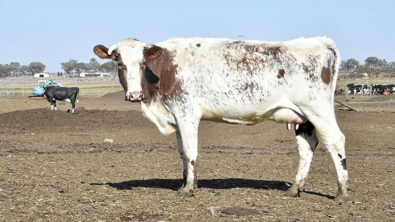 Farmers affected by drought and rural communities are set to receive additional assistance to help sustain their farming businesses. Picture: Bev Lacey