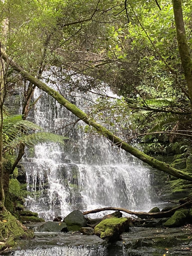 Myrtle falls kunanyi/Mt Wellington. Picture: Liz Osborne. Your Focus on Tasmania **ONE TIME USE ONLY**