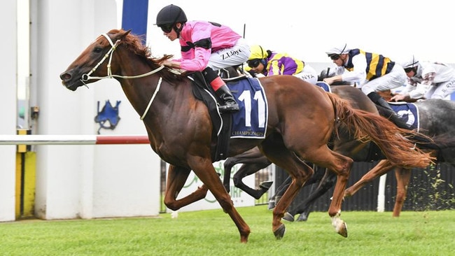 Territory Express wins the POLYTRACK PROVINCIALMIDWAY CHAMPIONSHIP QUALIFIER at Kembla Grange on 29/02/2024. Picture: Bradley Photos