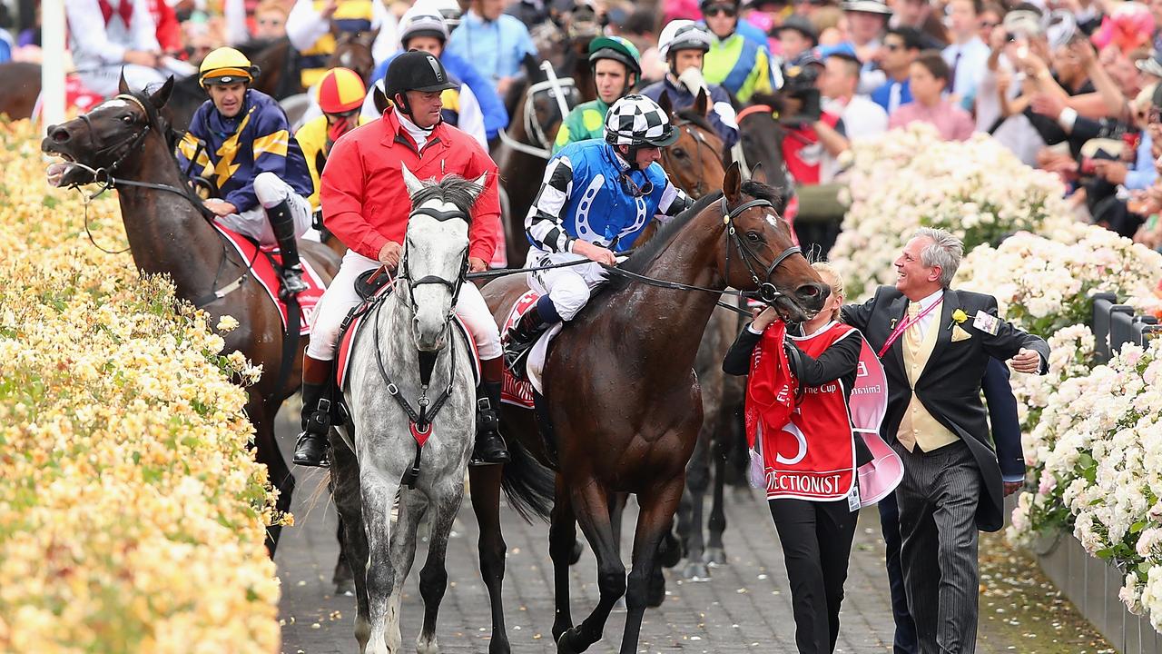 MELBOURNE, AUSTRALIA - NOVEMBER 04: Araldo (left) ridden by Dwayne Dunn is spooked by a patron waving a flag as the horses return to scale after racing in the Emirates Melbourne Cup on Melbourne Cup Day at Flemington Racecourse on November 4, 2014 in Melbourne, Australia. (Photo by Quinn Rooney/Getty Images)