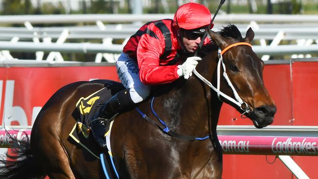 Smart Melody will put her unbeaten record on the line in Thousand Guineas. Picture: Getty Images