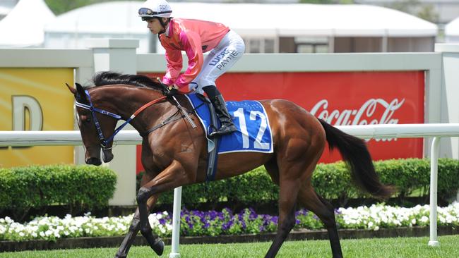 Michelle Payne will ride Rainy Day Woman. Picture: Grant Peters/Trackside Photography