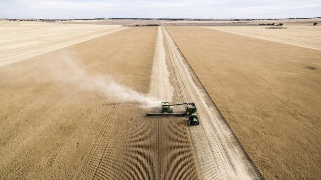 Harvesting grain in WA, November 2021. Picture: CBH Group