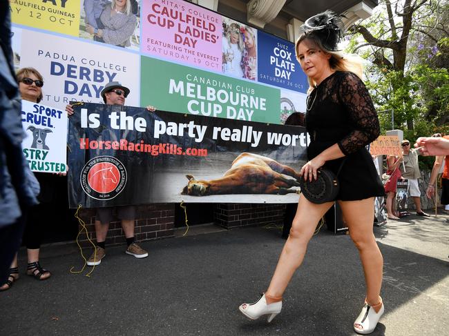 A racegoer walks past animal welfare activists as they protest outside the Eagle Farm racecourse. Picture: AAP/Dan Peled