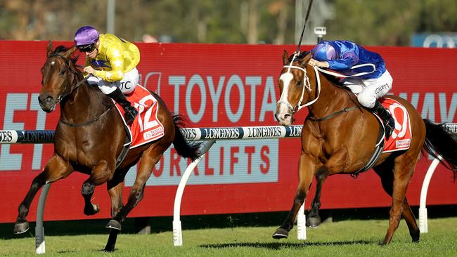 Zoumon (left) holds off Bold Mac to win the McKell Cup at Rosehill in June. Picture: Jeremy Ng / Getty Images