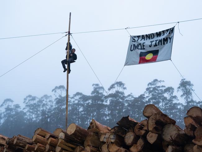 Hughie suspended at a logging couple in the West Kunanyi Range. Picture: Supplied.