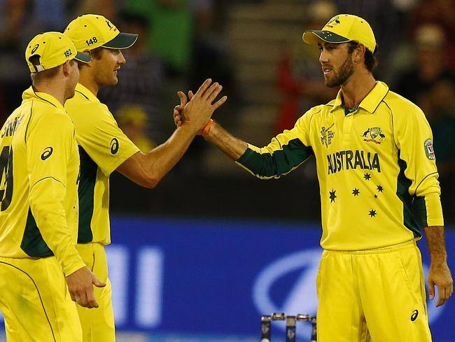 Glenn Maxwell has been doing plenty of homework. Picture: Wayne Ludbey.