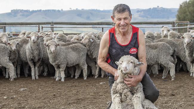 Mick Clarke says he “sort of fell into” shearing sheep. Picture: Zoe Phillips