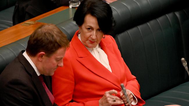 Former deputy premier Vickie Chapman pictured in the lower house in Parliament House in May 2022. Picture: NCA NewsWire / Naomi Jellicoe