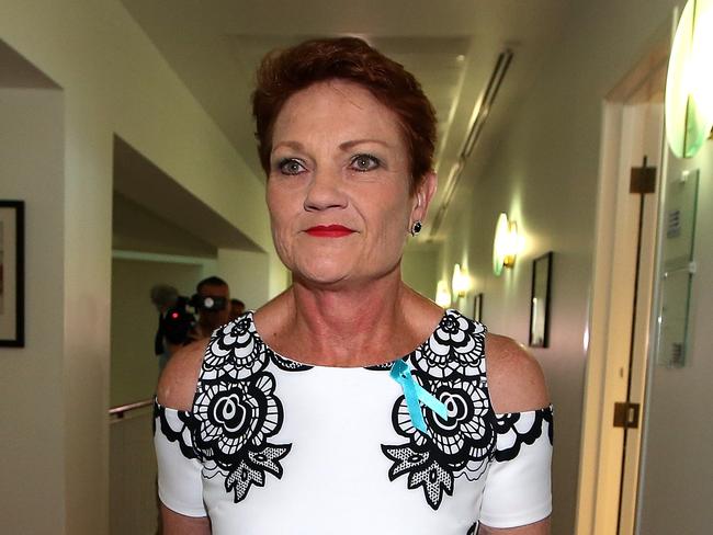 Senator Pauline Hanson at Parliament House in Canberra. Picture: Kym Smith.