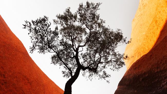 A shot titled Uluru Glow. Picture: Supplied (Louise Denton)