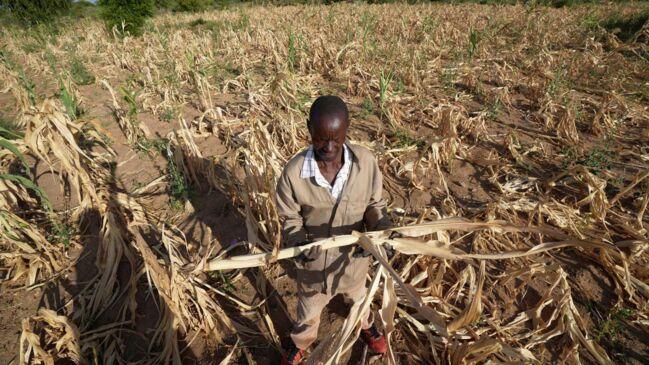 Zimbabwe drought: Government declares state of emergency | Herald Sun