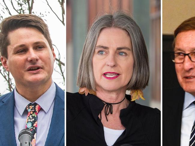 ‘Wild ride’: Several councillors set to battle it out in deputy mayor race