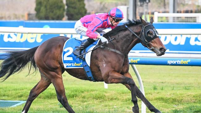 Recommendation romped to victory under Blake Shinn in the Sir John Monash Stakes at Caulfield. Picture: Reg Ryan/Racing Photos via Getty Images