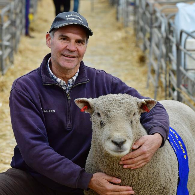 Chandpara Southdowns, champion Southdown ram with Andrew Sellars-Jones from Kyneton. Picture: Zoe Phillips