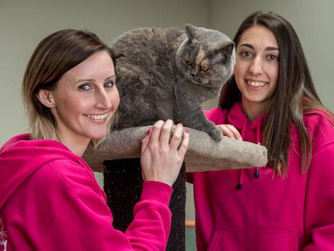 Cat Napping Suburban Retreat’s founder Ebony Centazzo runs her own small business and knows the importance of work experience. Picture: Jake Nowakowski