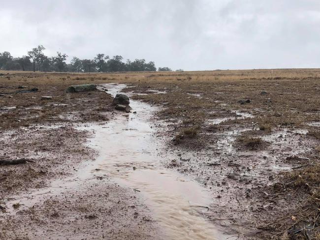 The same farm after today’s rain.