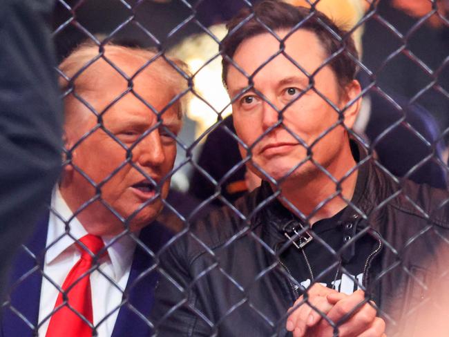 US President-elect Donald Trump and Tesla and SpaceX CEO Elon Musk watch a fight during UFC 309 at Madison Square Garden in New York, on November 16, 2024. Picture: Kena Betancur / AFP