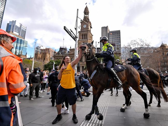 Two men were charged for punching police horse Tobruk. Picture: AFP