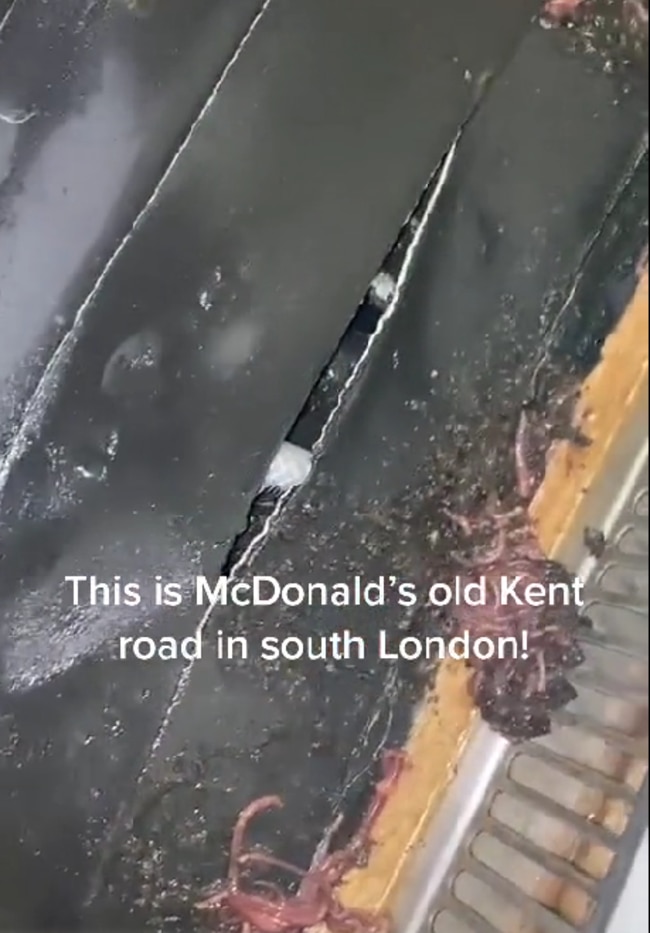 A McDonald’s whistleblower has filmed live earthworms writhing in the drain of a soft drinks machine at a restaurant in London. Picture: TikTok/McOldKentRoad