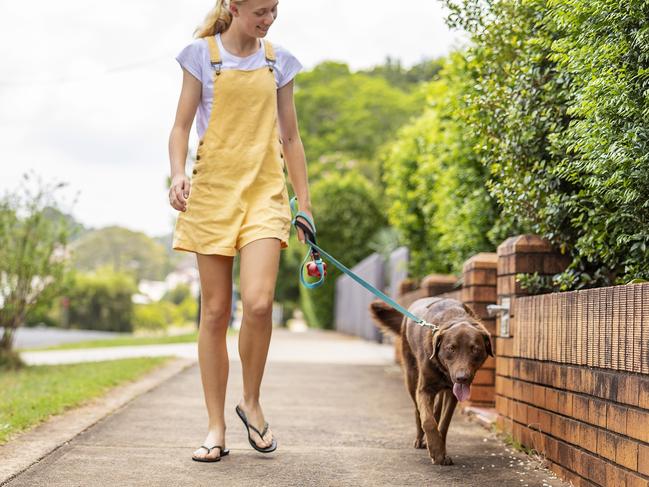 Teenage Girl Taking Her Dog for a Walk Picture i stock image