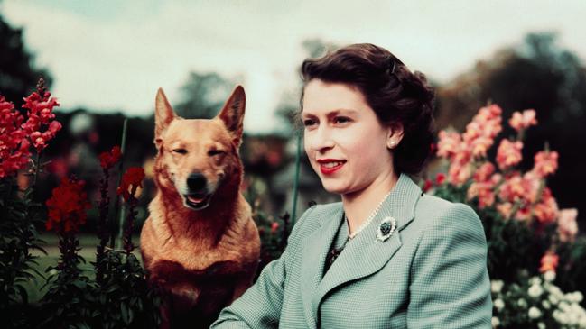 ‘Godsend’: How Queen’s corgi love affair started