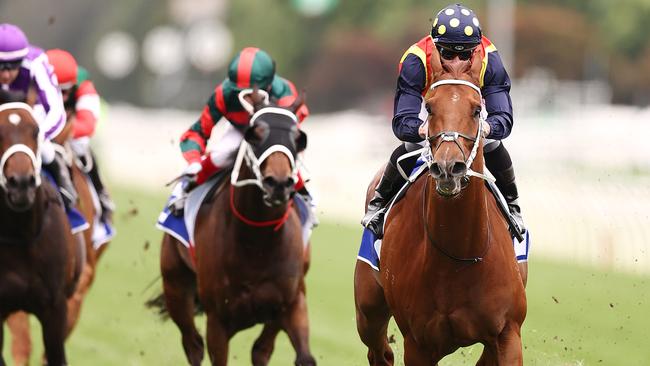 Nature Strip is set to bounce back from his Everest defeat and in the Group 1 Champions Sprint at Flemington.
