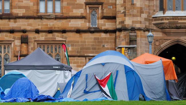 A pro-Palestinian encampment on the lawn of Sydney University, in June 2024. Picture: NewsWire / Max Mason-Hubers