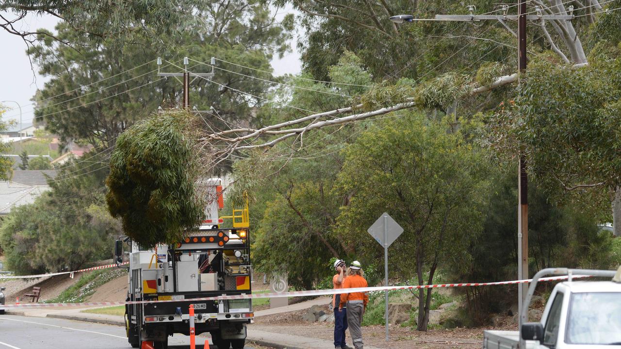 A tree branch across powerlines on River Rd, Noarlunga. Picture: AAP / Brenton Edwards