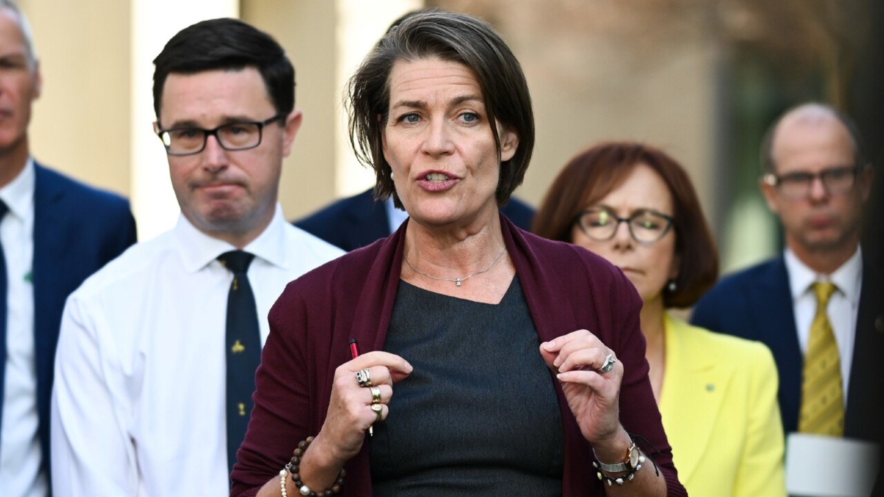 ‘At peril of not getting winnable spot’: Perin Davey to face preselection battle this week