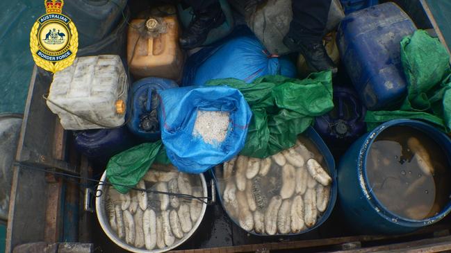 ABF seized a record haul of trepang in Territory waters on December 18, 2024 in a separate incident. Picture: Australian Border Force