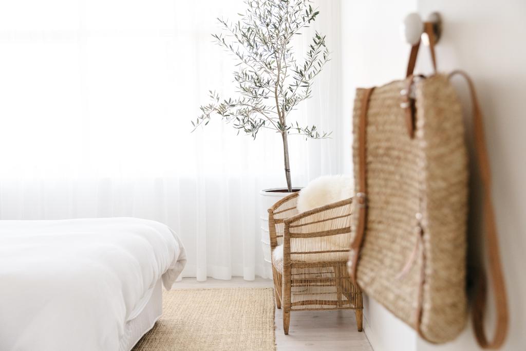 olijfboom slaapkamer binnenplant