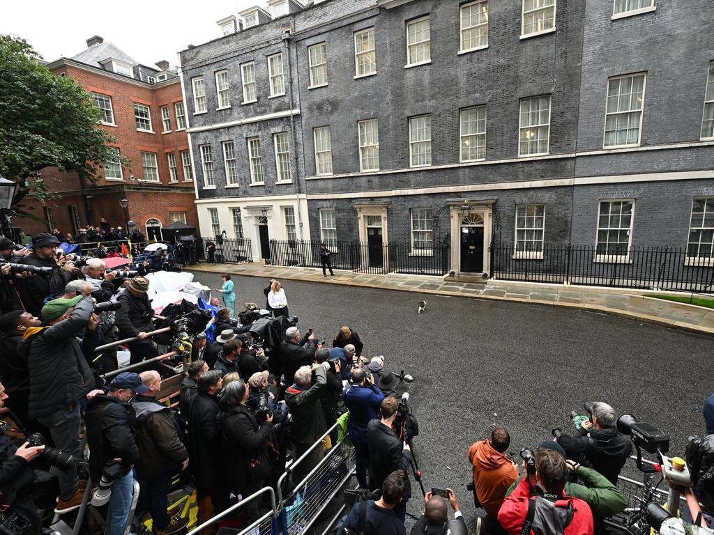 Larry the Cat walks into Downing Street following Labour's landslide election victory in July. Picture: Getty Images