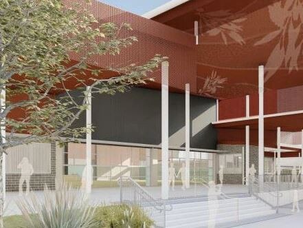 Spotted Gum’s leaves on covered outdoor learning area. Picture: NSW School Infrastructure