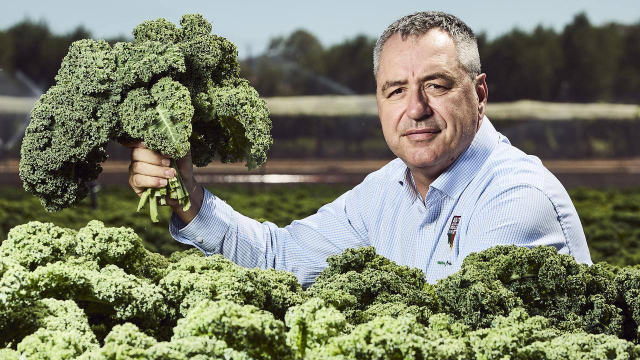 Angelo Demasi from the Horticultural Association SA holding produce at a farm, Wednesday, Jan. 31, 2024. Picture: Matt Loxton