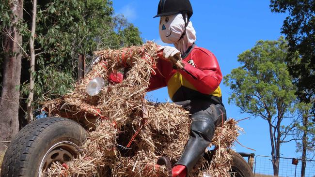 Straw Rider was a popular entrant in the 2020 festival/